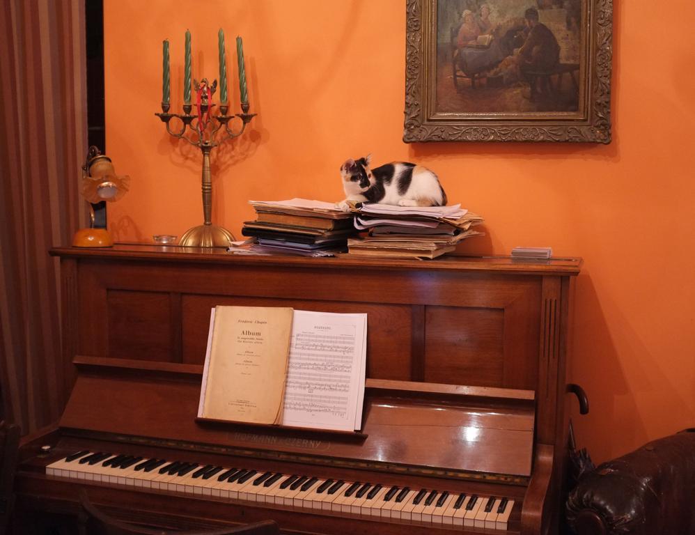 Piano Guest House Kraków Eksteriør billede